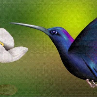 Coreldraw Creation