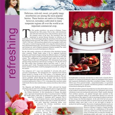 Coreldraw Layout Project